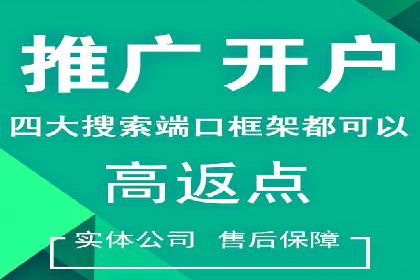 百度品牌专区推广：打造品牌形象的新途径